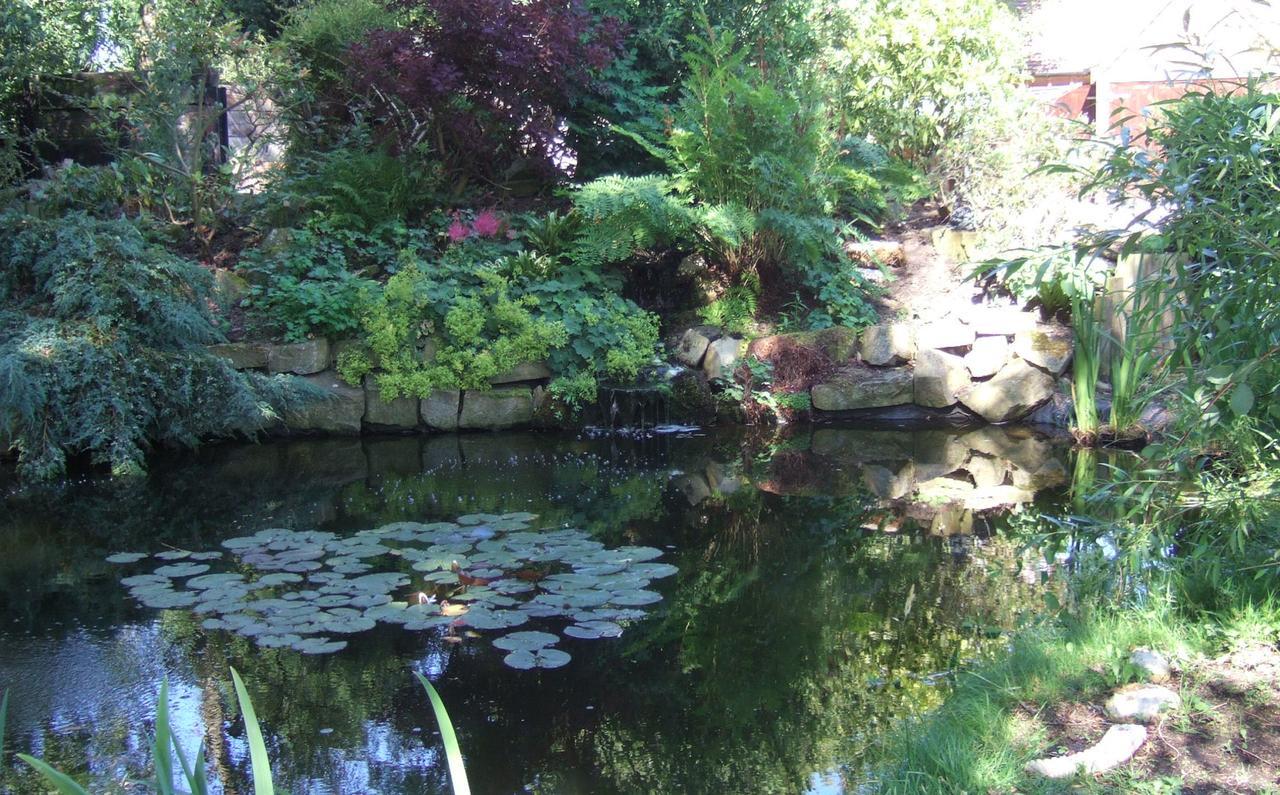 Lime Trees Farm Bed and Breakfast Bicester Buitenkant foto