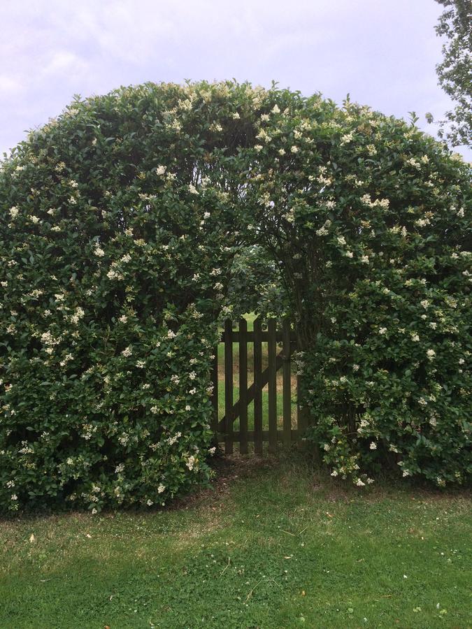 Lime Trees Farm Bed and Breakfast Bicester Buitenkant foto